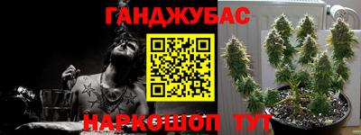сатива Краснознаменск