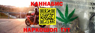 сатива Краснознаменск