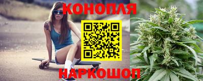 сатива Краснознаменск